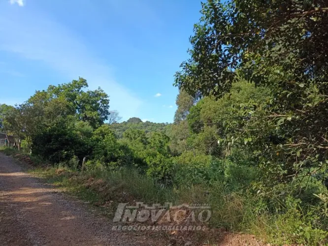 Chácara Área Rural de Farroupilha Farroupilha