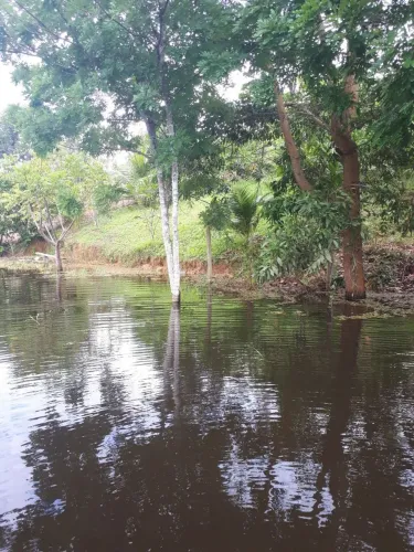 Terreno na Cidade de Iranduba próximo ao Lago Santo Antônio