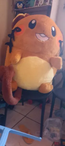 Pokémon Raichu novo