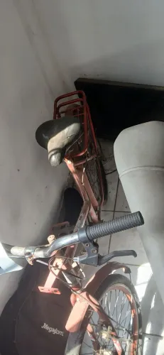 Bicicleta adulta