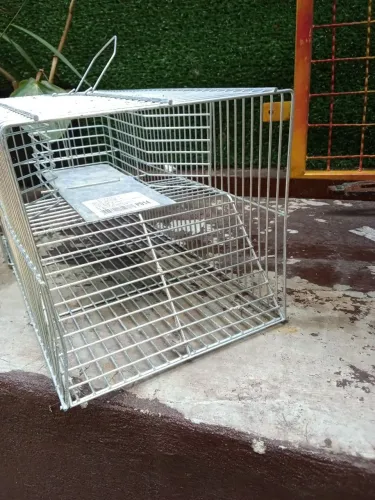 Gaiolas Prata Pega Rato
