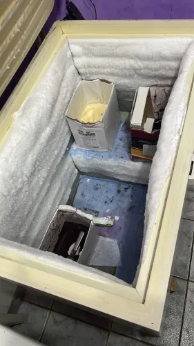 Freezer horizontal