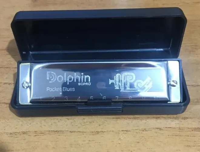 Gaita Dolphin 20 vozes DÓ