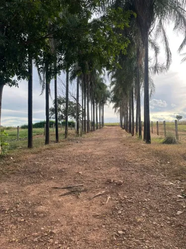 ?OPORTUNIDADE ROTA ARAGUAIA ? chacara 5.35 alqueires/ Itauçu/70 km goiania/ *