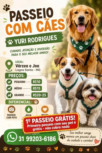 Passeado de pets 