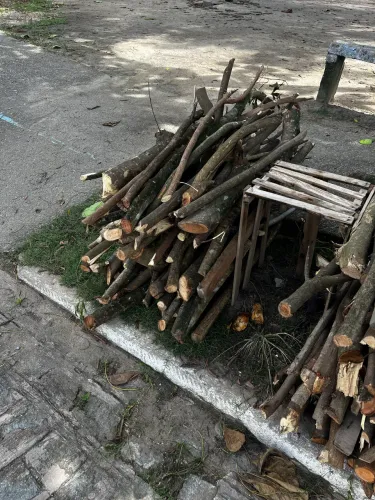 Lenha para fogueira