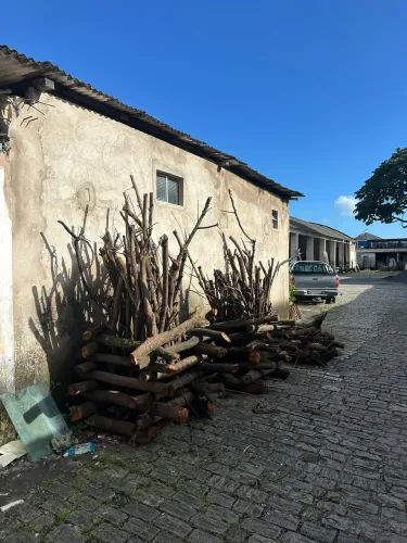 Fogueira