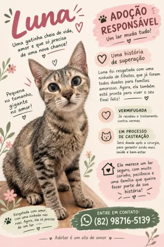 Doação de gata
