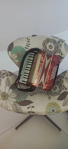 Sanfona Acordeon Universal 32 baixos
