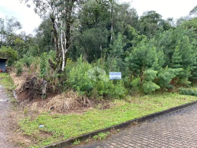 Terreno em bairro tranquilo com infraestrutura