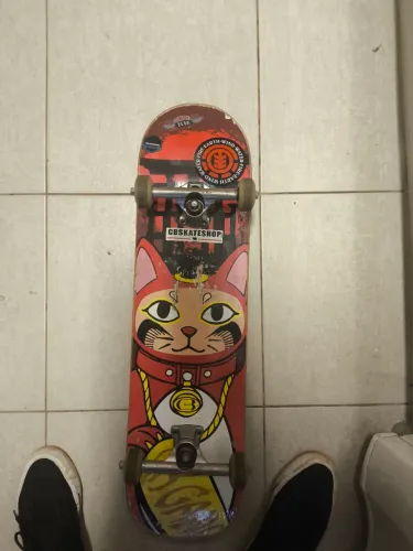 Skate Montado + Rolamento Everlong