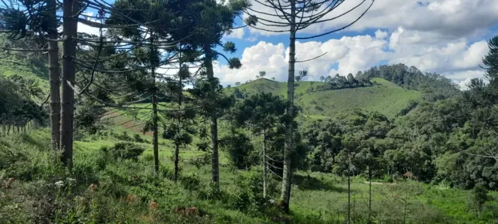 Oferta Imperdível! Um espetáculo de lugar, chácara com 10.000m2 Delfim Moreira MG