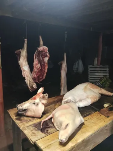 Vendo carne de porco caipira
