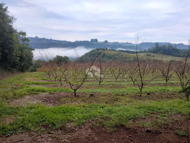 EXCELENTE CHÁCARA COM VISTA PARA O VALE- NOVA PADUA