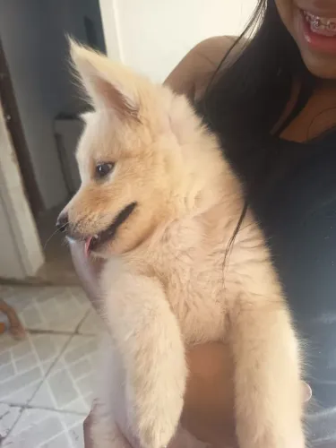 Doação feliz