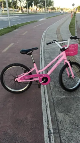 Bicicleta Infantil Bella Aro 20 Aro de Alumínio com Cesta - Rosa