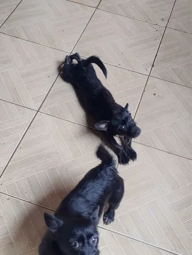 Doação 