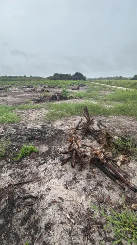 VENDO LOTES NA REGIÃO DE SUCATINGA EM BEBERIBE