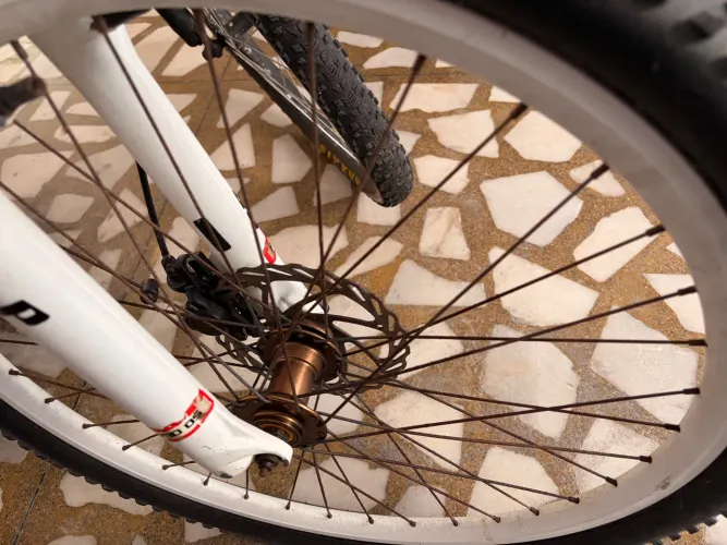 Bicicleta
