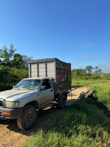 Toyota Hilux CS DX 4X4 3.0 8V 90cv Diesel 2004