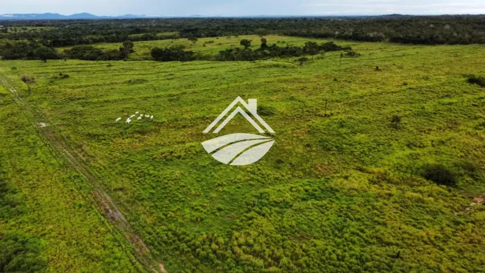 Fazenda para Venda em Pequizeiro, agropecuária em expansão