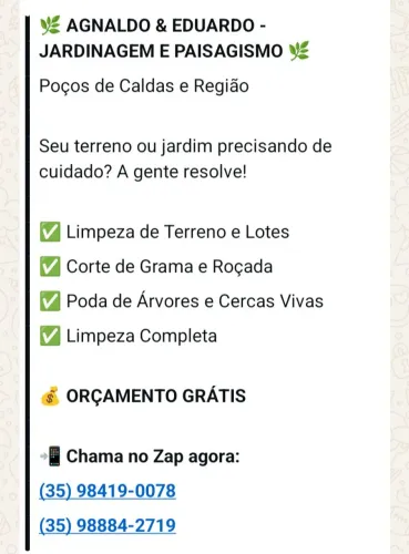Limpeza de terrenos, podas , serviço de jardinagem e paisagismo
