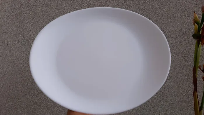 Pratos ovais de porcelana para restaurante