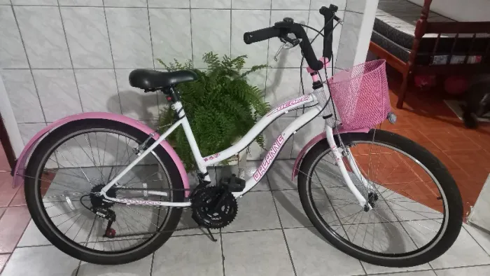 Bicicleta feminina