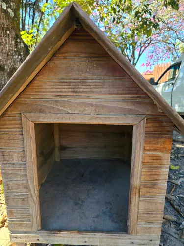 Casinha para Cachorro - Porte Médio (Usada)