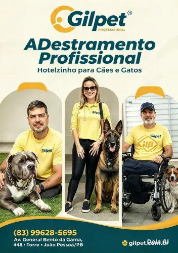 Adestramento  Cães  Pequeno e Grande  Porte