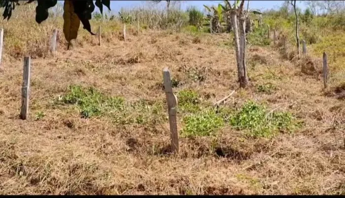 Terreno a venda próximo a Lagoinha