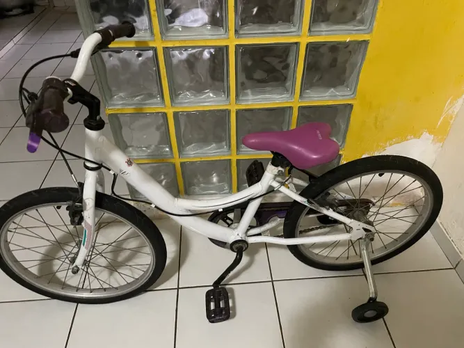 Bicicleta Aro 20