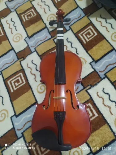 Violino (Parrot) adulto 4/4