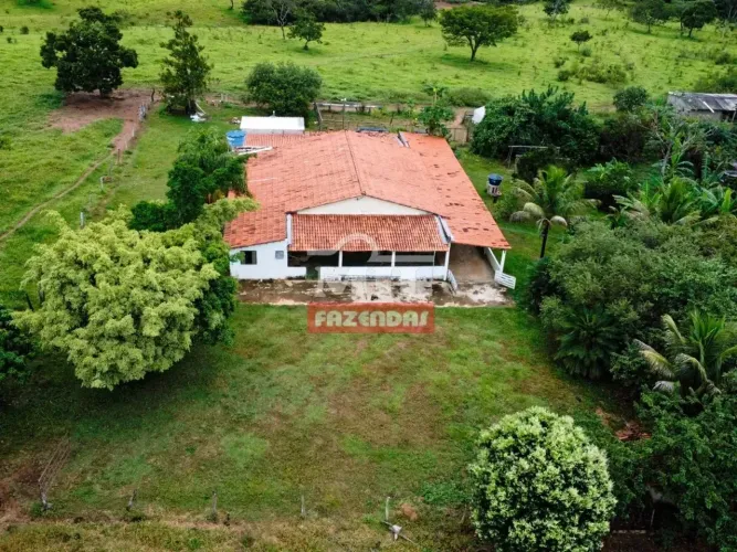 Fazenda 64 Alqueires (309 hectares) Orizona - GO