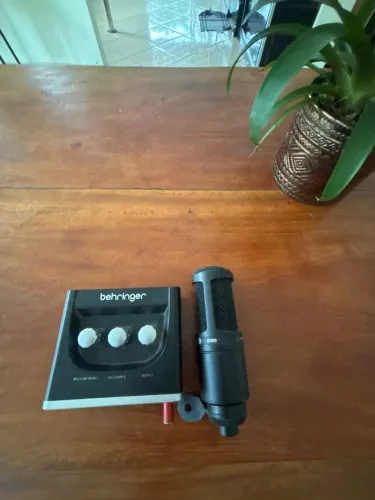 BEHRINGER UM2 + At2020