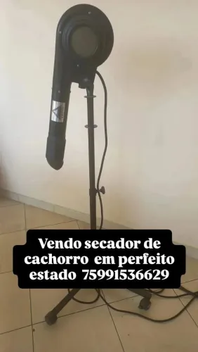 Secador de cachorro