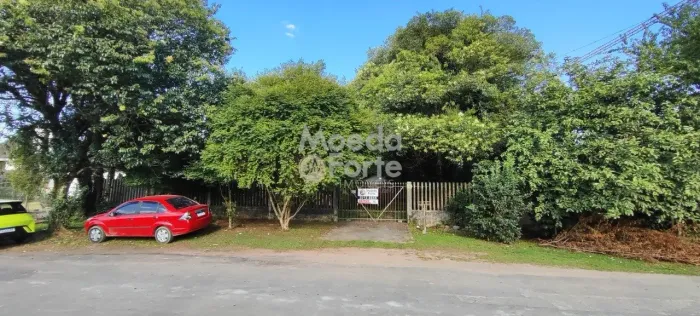 TERRENO, ECOVILLE, ÓTIMO, 1.657,50 M2, 25,50 MTS DE FRENTE, PLANO, A 1 QUADRA DA BR-277 E