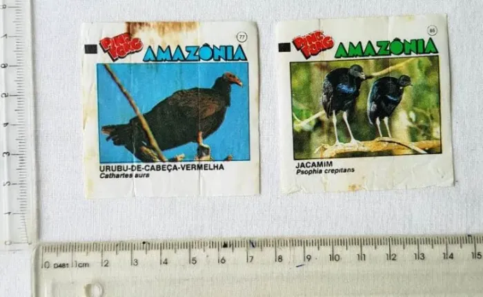 Colecionáveis - Figurinhas Ping Pong - Amazônia - 2 Figurinhas - 1991
