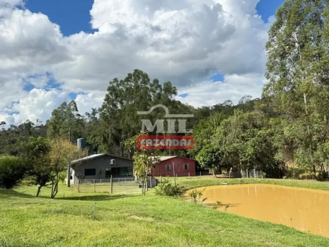 Chácara 7,5 Alqueires (36,3 hectares) São Miguel do Passa Quatro - GO