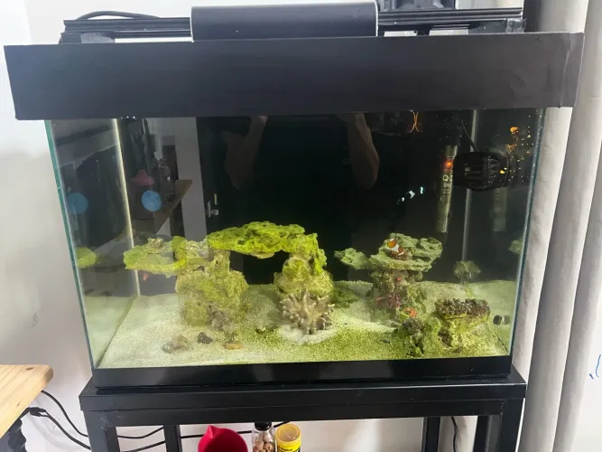 Aquário 70l