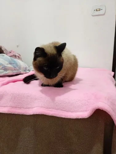 Doa se minha filha é alérgica