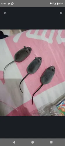 3 ratinhos de brinquedo para gatos