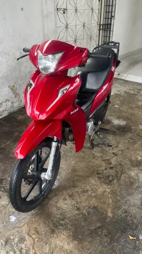 Aveloz 50tinha 24/25