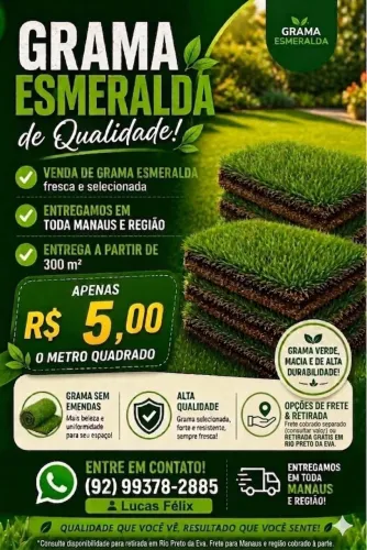 Grama esmeralda R$ 5,00M2 - VENDA