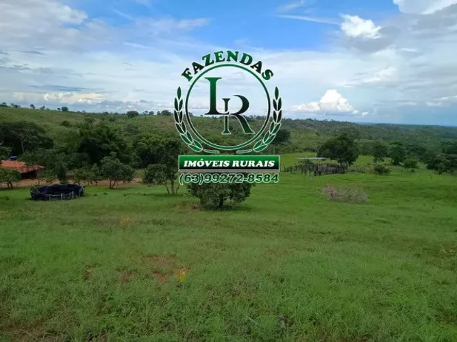 Fazenda 121 Hectares , Próximo de Palmas