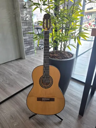 Violão Rozini