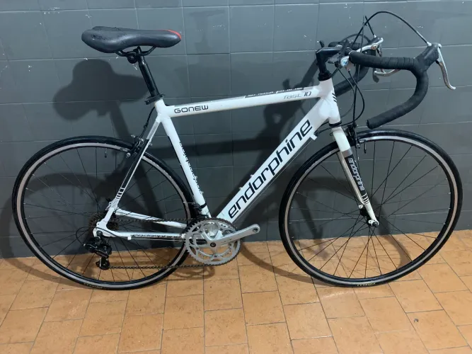 Endorphine Gonew Fast10 TAM.56 Shimano 