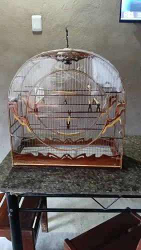 Número 7 malha inox 