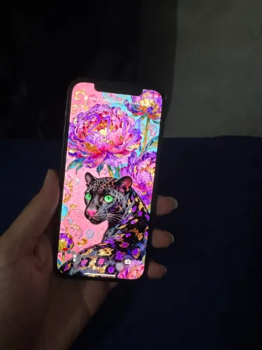 iPhone 12 64gb