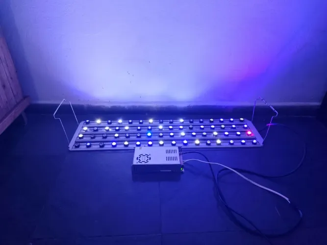 luminária caseira para aquário marinho
